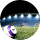 Tipster James Adam