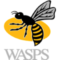 Wasps Rfc